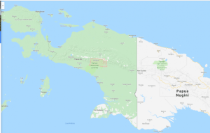 Sejarah penguasaan tanah Orang Asli Papua