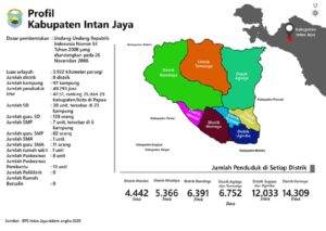 Profil Intan Jaya, Papua
