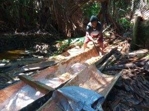 Sagu, Bahan Pangan Lokal Papua