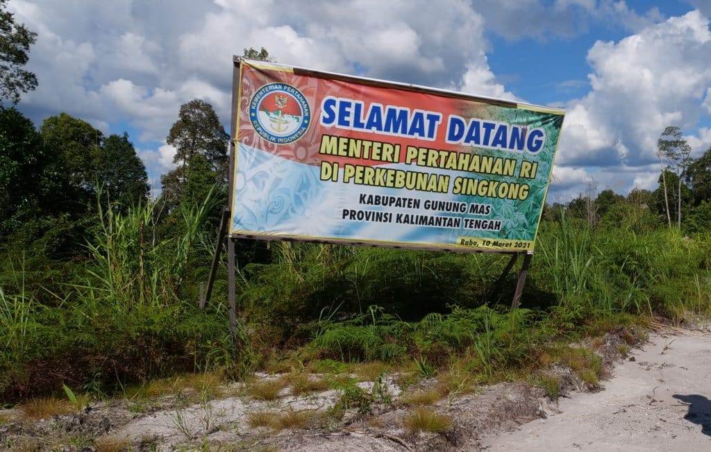 "Kembalinya Ksatria Jedi" Bagian 3 laporan Investigasi Kroni Prabowo kepung Proyek Lumbung Pangan, ancam lingkungan, hutan Papua dan habitat Orangutan 1 i Papua