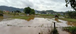 BMKG rilis peringatan dini terjadi hujan intensitas sedang hingga lebat di wilayah Bonggo Papua