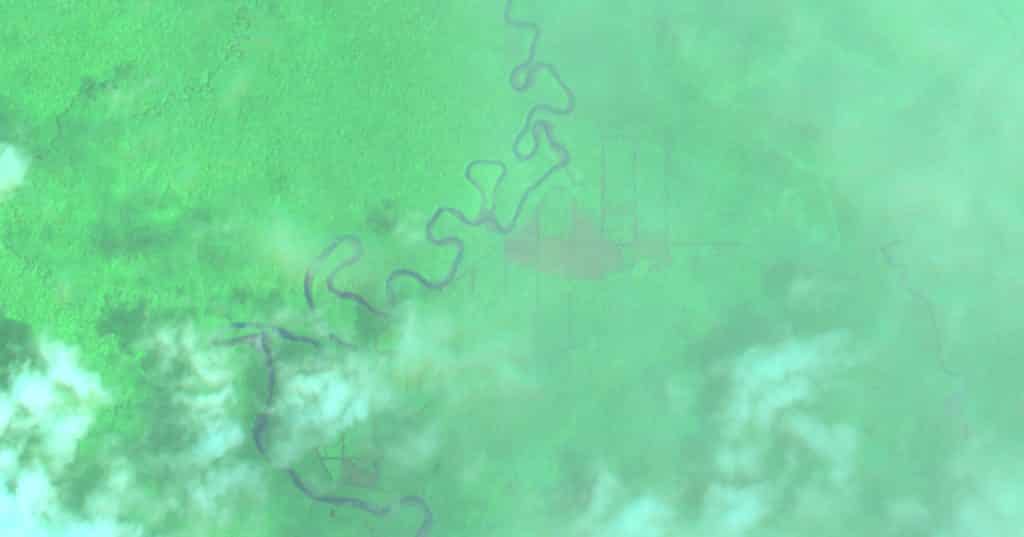 Papua-Gambar citra satelit hutan hujan tropis Nimbokrang