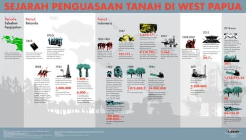 Infografis 8 i Papua